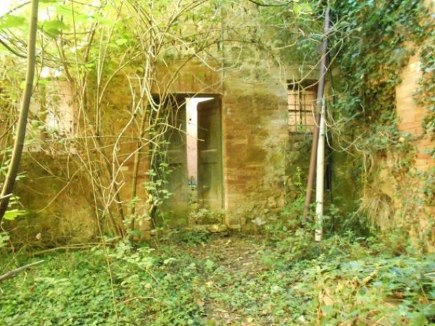 Immobile in asta di 1120 m² con più di 5 locali in vendita a Siena - Foto 3