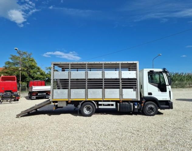 IVECO EUROCARGO 80E22 P E6 CASSA BESTIAME rif. 24147502 - Foto 4