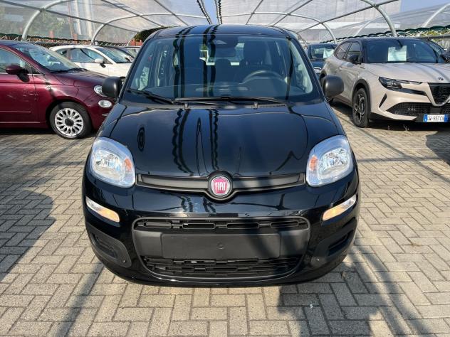 FIAT Panda Pandina 1.0 firefly hybrid Icon s&s 65cv 5p.ti - Foto 2
