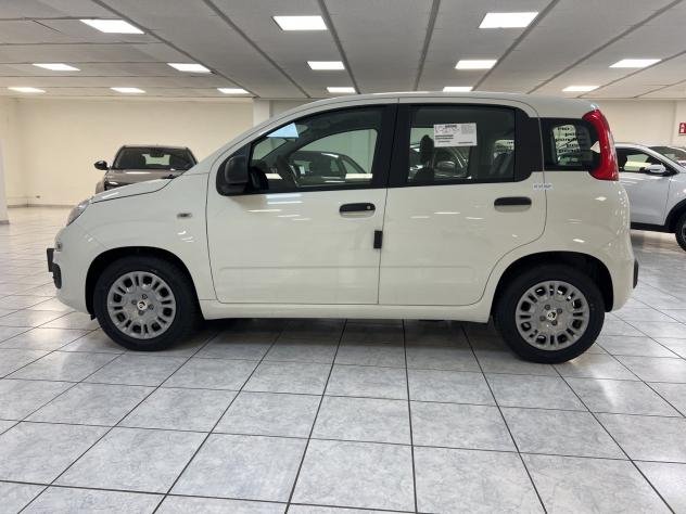 FIAT Pandina 1.0 FireFly 65cv S&S 6m Hybrid Icon - Foto 8