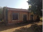 Terreno Agricolo - Sezze . Rif.: SE261VRG