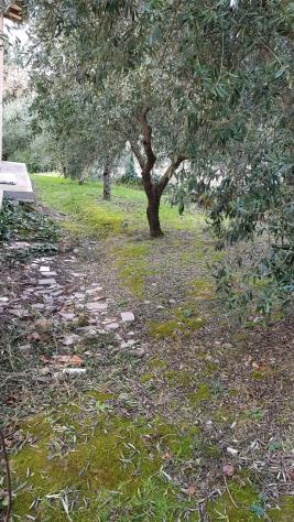 Villa in vendita a Perugia - Foto 14