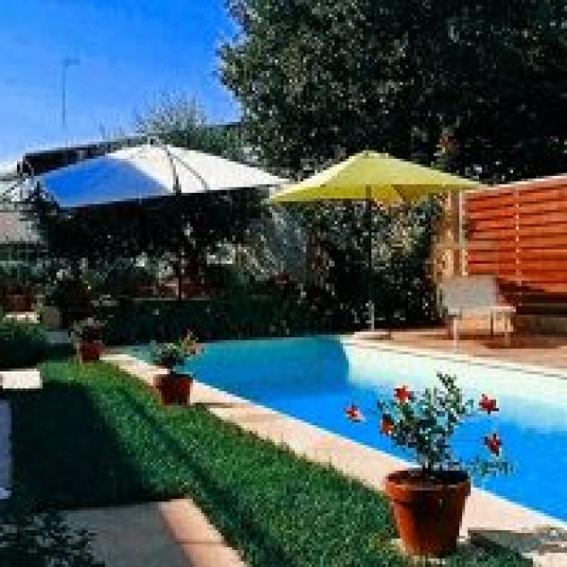 Biancolino - Foto 2