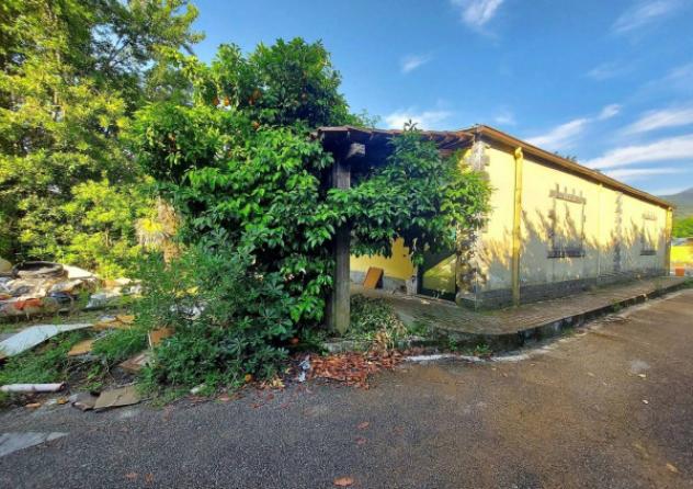 Immobile in asta di 598 m² con più di 5 locali in vendita a Cassino - Foto 3