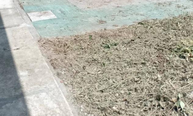 Immobile in asta di 170 m² con più di 5 locali in vendita a Calizzano - Foto 2