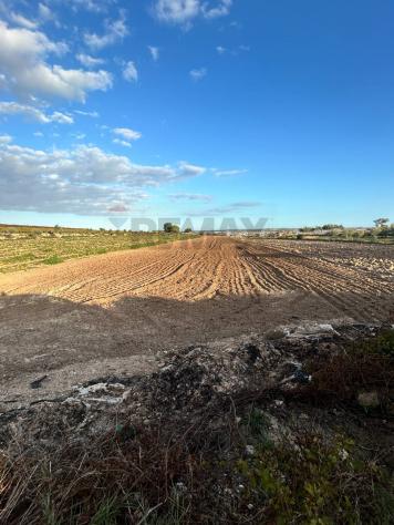Terreno in vendita a Noto - Foto 7