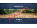 Immobile in asta di 16 m² in vendita a Trieste