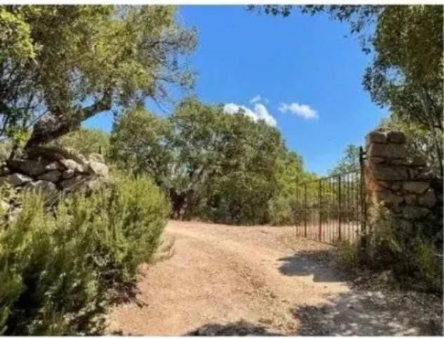 Immobile in asta di 36 m² in vendita a Luras - Foto 14