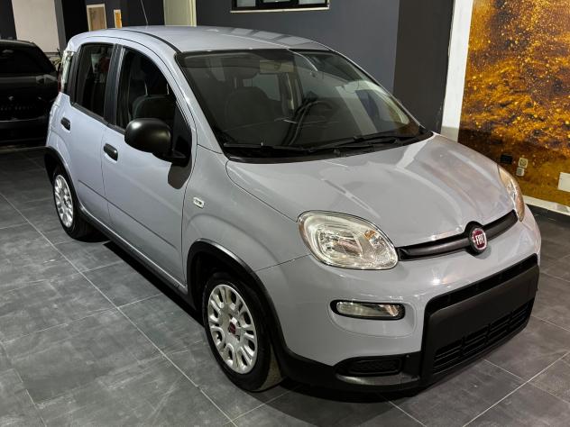 Fiat Panda 1.0 FireFly S&S Hybrid 70cv KM 20'277 - Foto 3