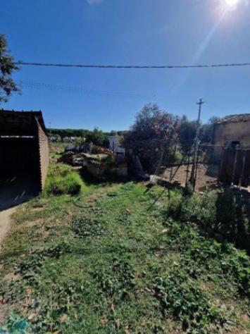 Immobile in asta di 66 m² in vendita a Capalbio - Foto 2