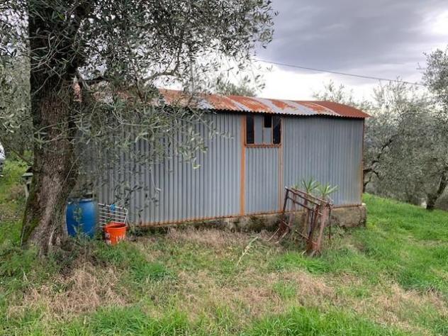 Terreno agricolo in vendita a Colle - Buggiano 5500 mq Rif: 1311347 - Foto 4