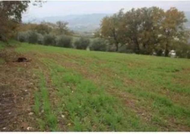 Immobile in asta di 31128 m² in vendita a Forlì - Foto 3