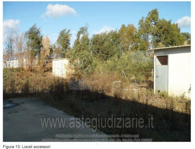 IMMOBILI-IMMOBILE COMMERCIALE-Loc. Terramaini - Foto 5