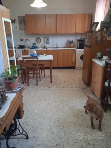 OFFRO POSTO LETTO- COABITAZIONE - Foto 2