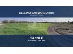 Immobile in asta di 17164 m² in vendita a Cellino San Marco