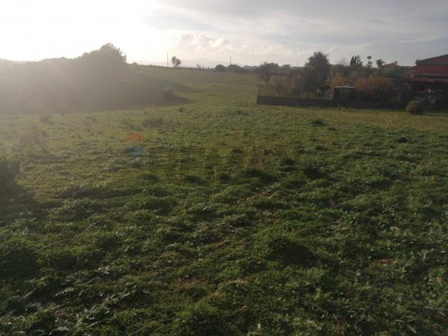 Terreno Industriale in vendita a Motta Sant'Anastasia - Foto 3