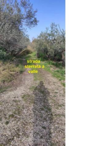 Immobile in asta di 9160 m² in vendita a Vasto - Foto 9