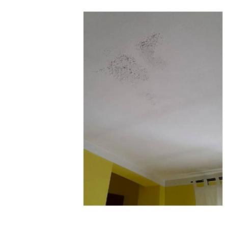 Immobile in asta di 86 m² in vendita a Bastia Mondovì - Foto 7