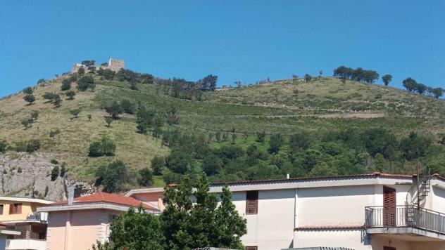 Vigneto in vendita a Castel San Giorgio - Foto 5