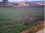 Agricolo in Via San Matteo
