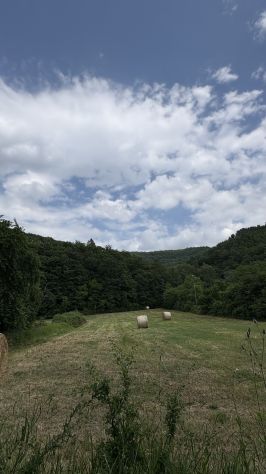 Terreno agricolo 12.000 mq con fronte strada - Foto 6
