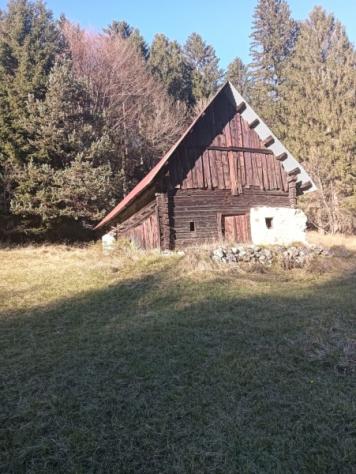 Tre baite con 22.000mq di terreno e bosco - Foto 2