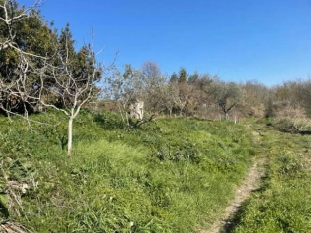 Immobile in asta di 169 m² con più di 5 locali in vendita a San Marco dei Cavoti - Foto 5
