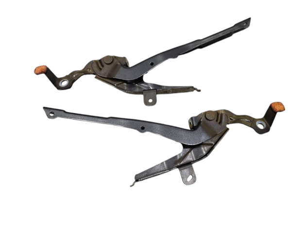 CERNIERE COFANO ANTERIORE DX E SX PEUGEOT 2008 Serie 9820730880 (19)