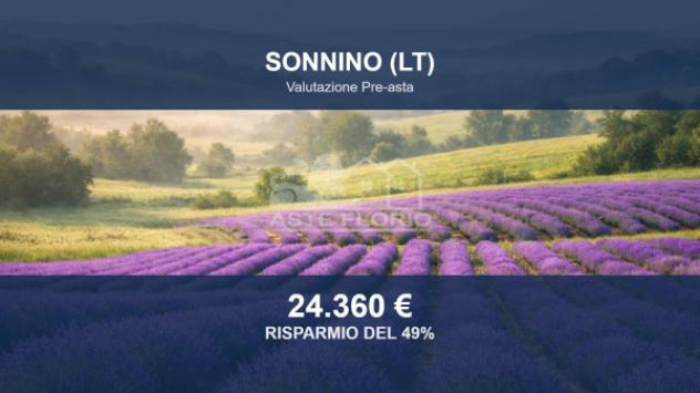 Immobile in asta di 116260 m² in vendita a Sonnino