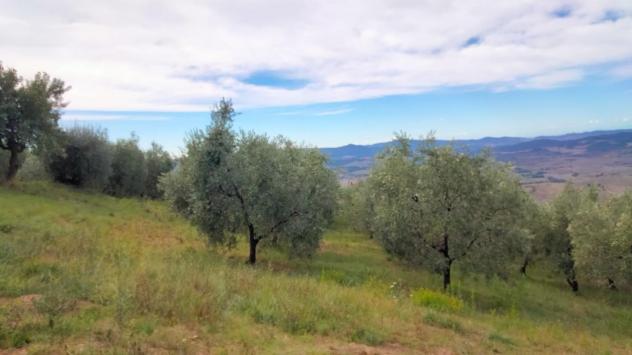 Terreno agricolo in vendita a Volterra 2500 mq Rif: 1345328