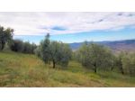 Terreno agricolo in vendita a Volterra 2500 mq  Rif: 1345328