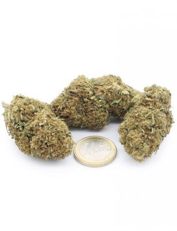Blue Dream - Foto 3