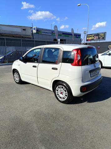 PANDA GPL - Foto 10