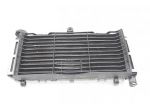 RADIATORE ACQUA HONDA CB600F HORNET 2005 - 2006 19010MBZC52 RADIATOR LEGGER &hellip;