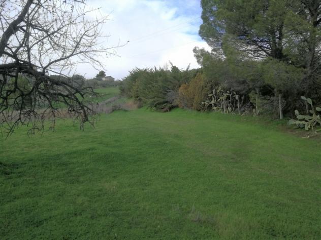 Agricolo in vendita a Caltanissetta - Foto 4