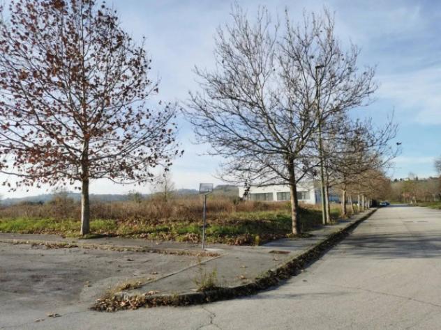 Immobile in asta di 7547 m² in vendita a Corinaldo - Foto 6
