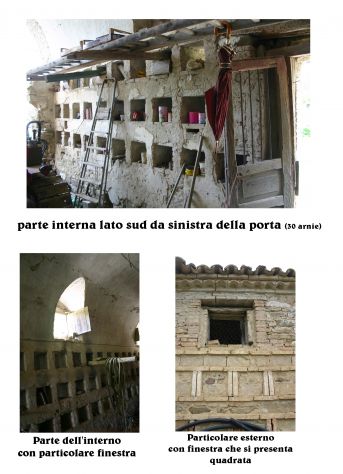 Terreno agricolo in vendita con apiario - Foto 3