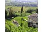 Agriturismo Pancolina