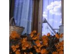 B&B La Casa della Nonna