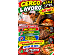 CERCO LAVORO SERALE
