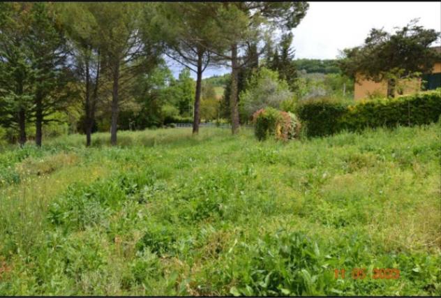 Immobile in asta di 7918 m² in vendita a Montespertoli - Foto 3