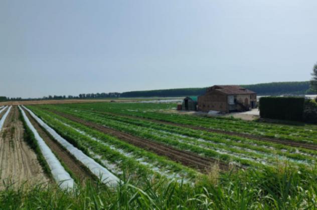 Immobile in asta di 870 m² in vendita a Sermide e Felonica - Foto 4