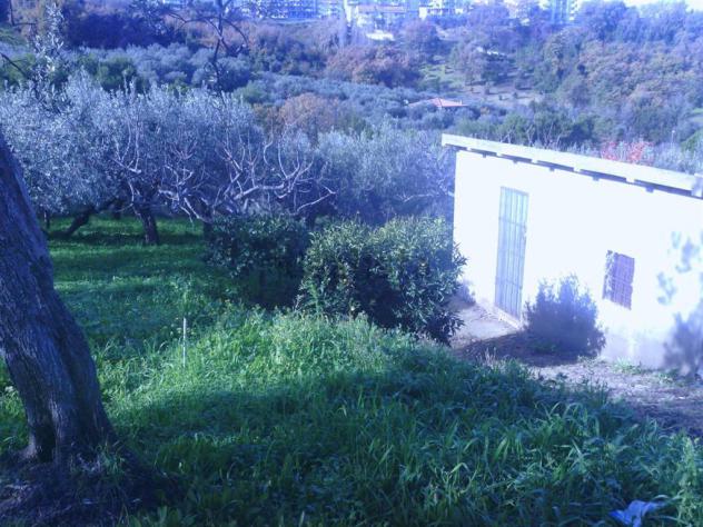 Vendita Terreno edificabile da 950 mq in Via Alessandro III con giardino - Foto 6
