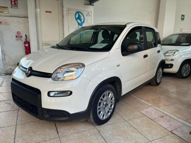 FIAT Panda City Life 1.0 FireFly S&S Hybrid 70cv rif. 23830741 - Foto 2