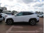 Hyundai Tucson 1.6 CRDI 48V DCT Exellence - AUTOMATICO
