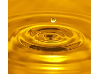 Massaggi - benessere Macerata - Italiano operatore del benessere: per maschi il massaggio bioenergetico totale. Tel:3273752561
