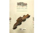 COLLETTORE DI SCARICO NISSAN Qashqai Serie 140042052R K9K diesel 1461 (14)