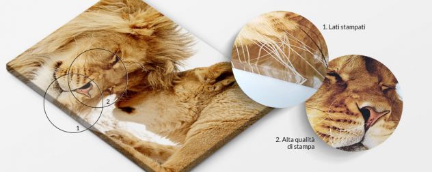 Quadro A Linee Beige 100x50 E 200x100 ARREDALACASA - Foto 6