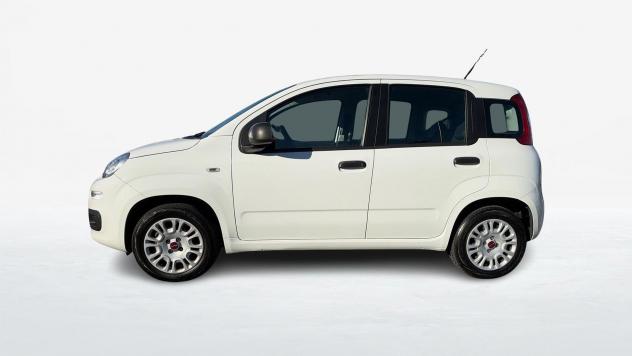 FIAT Panda 1.2 Easy s&s 69cv my19 - Foto 3