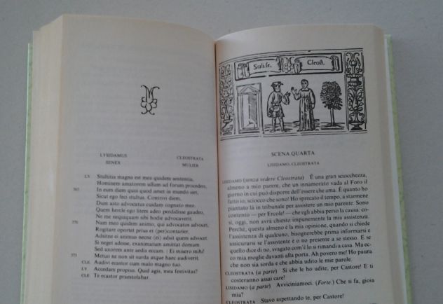 PLAUTO - Casina - Foto 10